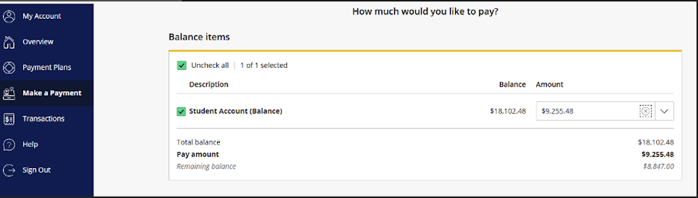 Screenshot of a payment portal showing a student account balance of $10,120.48, with a selected payment amount of $9,925.45. Menu options are visible on the left.