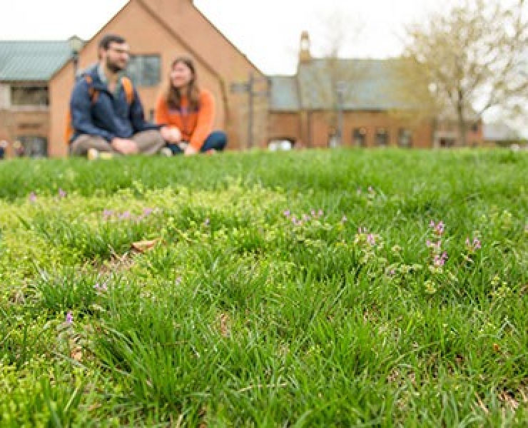A lush green field with small flowers in the foreground, and slightly blurred in the background, a man and a woman sit on the grass outside brick buildings on a cloudy day.
