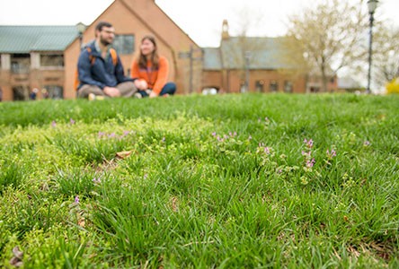 A lush green field with small flowers in the foreground, and slightly blurred in the background, a man and a woman sit on the grass outside brick buildings on a cloudy day.