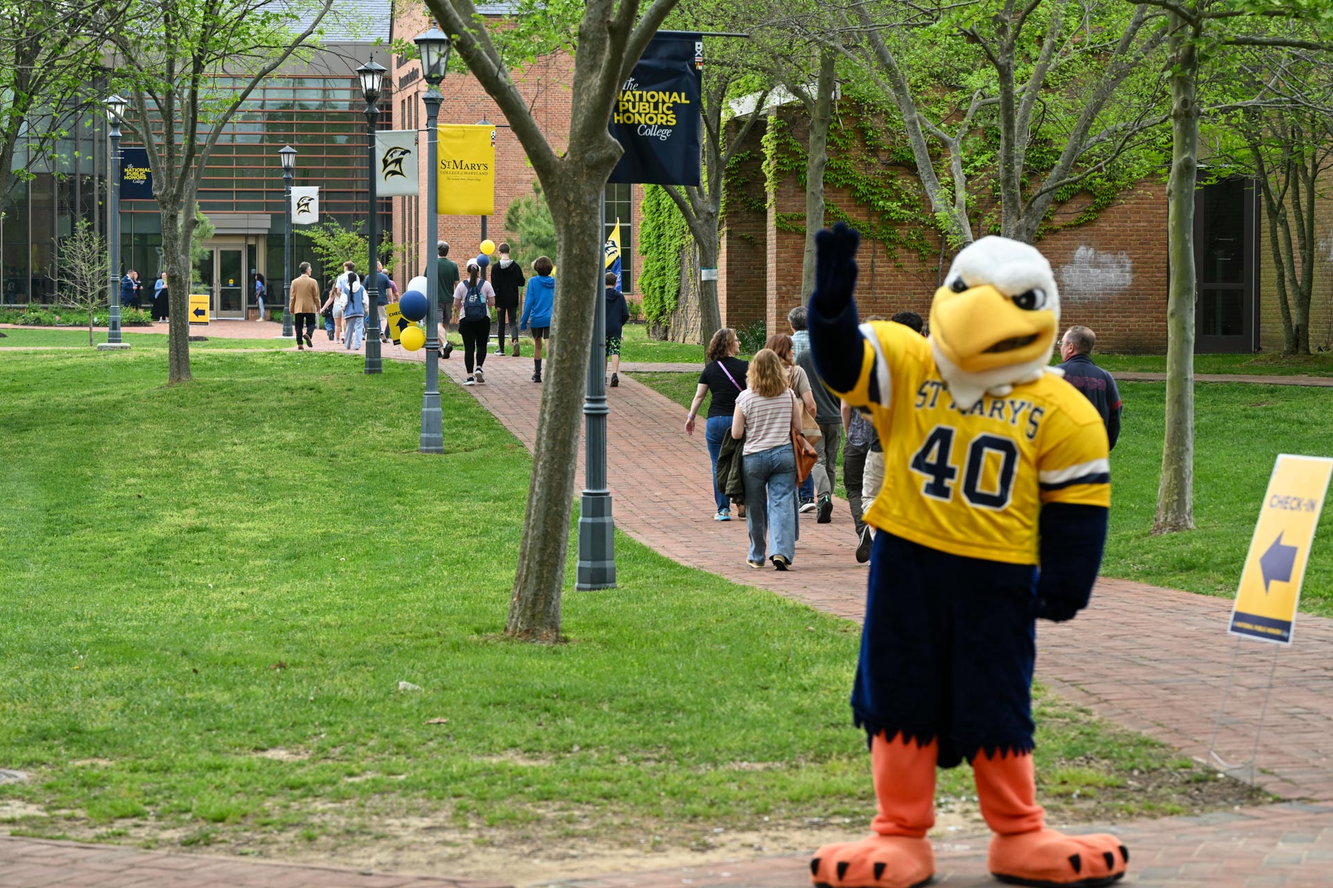Solomon Seahawk waves as people walk along a campus path lined with trees and banners.