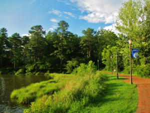 A scenic riverside path bordered by lush green grass and trees under a partly cloudy sky. A metal lamp post with a blue banner stands beside the brick walkway, and the river flows peacefully to the left.
