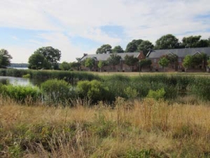 A scenic view of a countryside with a pond in the foreground, surrounded by tall grasses and bushes. Brick buildings with grey roofs are visible in the background, flanked by trees under a partly cloudy sky.