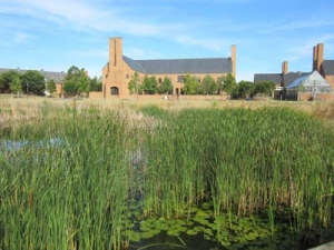 A peaceful scene of a wetland with tall grasses and lily pads in the foreground. In the background, there is a large brick building with tall chimneys and a clear blue sky above.