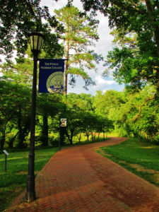 A brick path curves through a green park under a clear sky. Trees line both sides of the path. A lamppost on the left displays a banner reading "The Public Honors College" with an emblem.