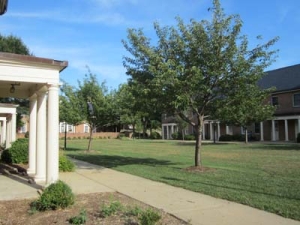 A sunny day on a college campus with a pathway lined by white-columned buildings and green lawns. Trees are scattered around the grassy areas, and a clear blue sky is overhead.