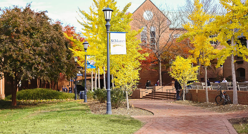 A sunny campus scene features a brick pathway lined with vibrant yellow autumn trees. Students walk near a brick building adorned with banners. Black lampposts dot the green lawn, enhancing the serene of St Mary's College campus atmosphere.