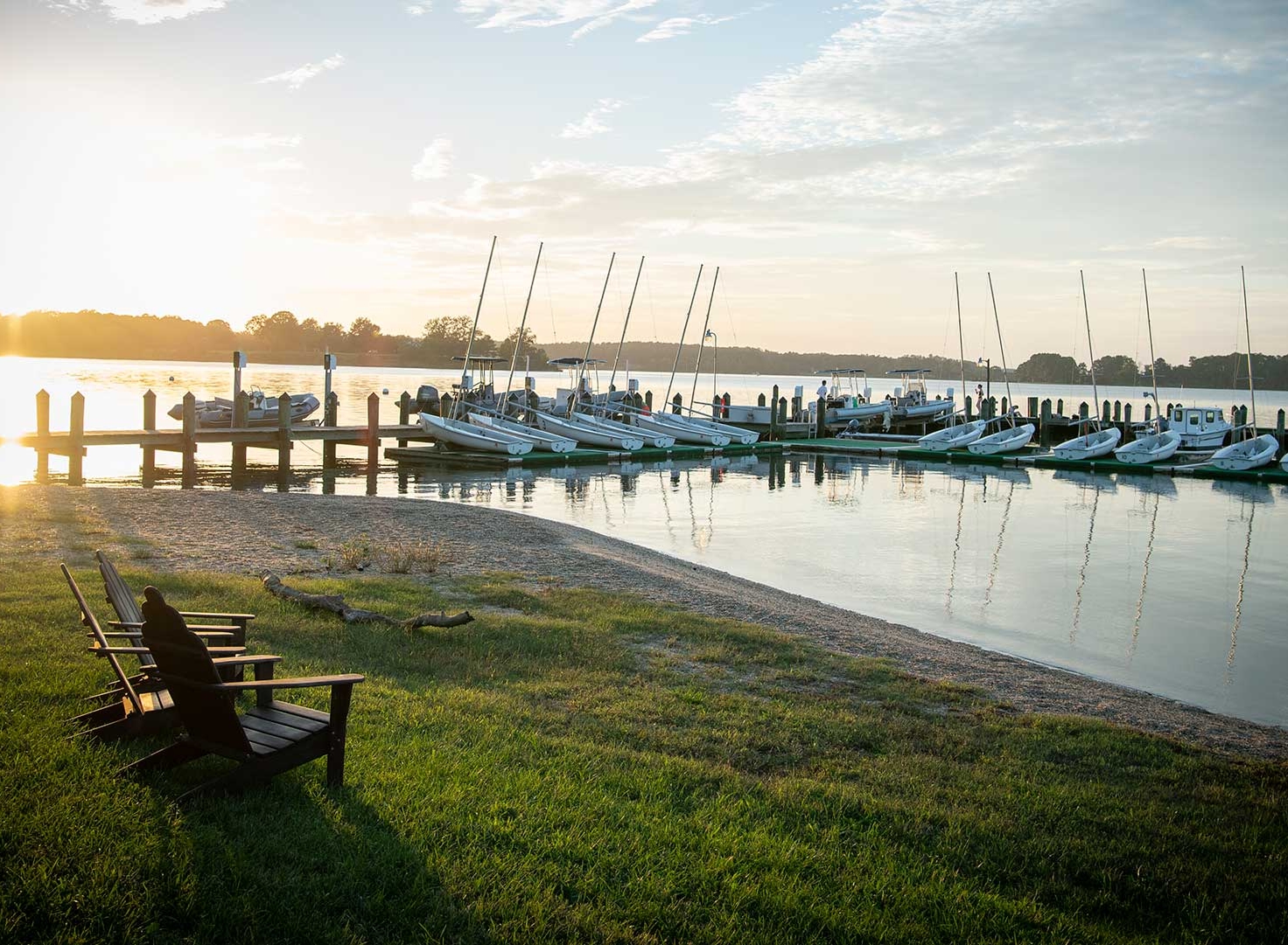 Wooden chairs sit on a grassy shore overlooking a marina with rows of docked sailboats at sunrise or sunset.