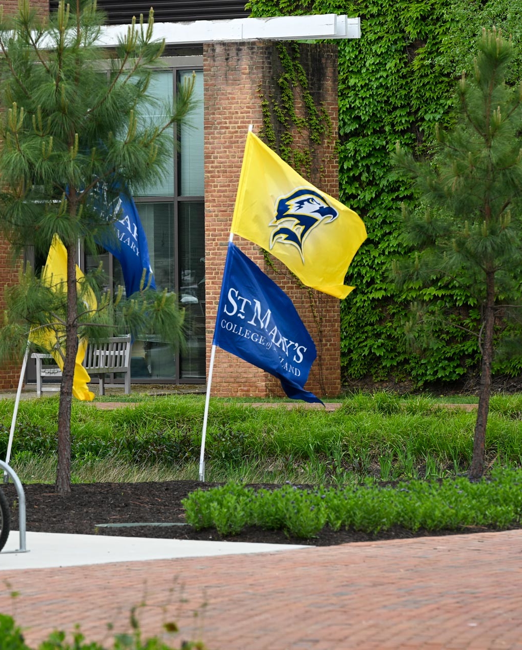 54485702968_5aba04658d_k Two flags outside a brick building: a yellow flag with a blue hawk logo and a blue flag reading "St. Mary's College of Maryland," surrounded by trees and greenery.
