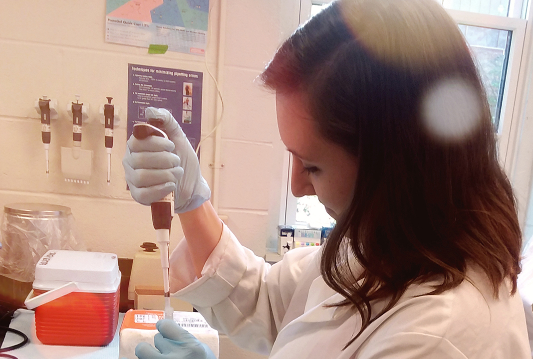 an SMCM student performing an experiment