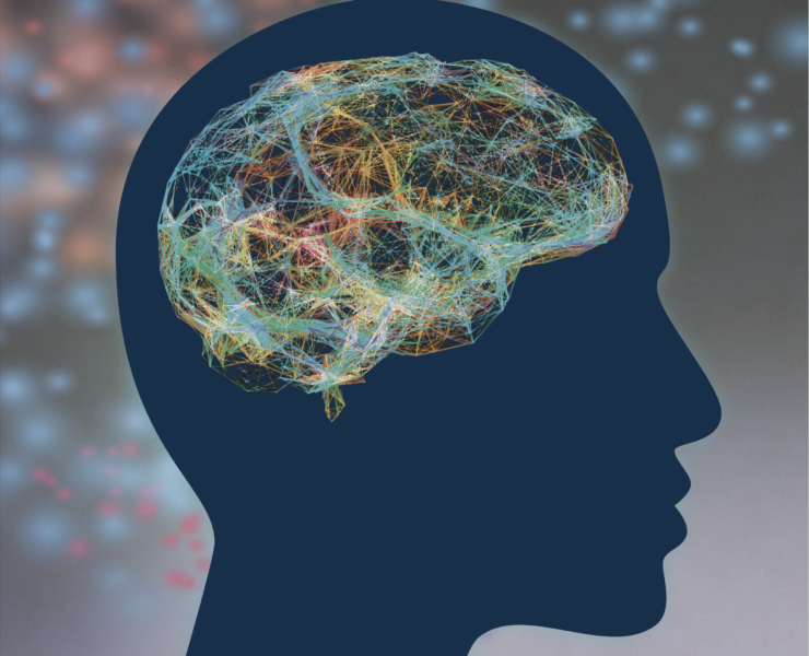 Brain Facts Cover
