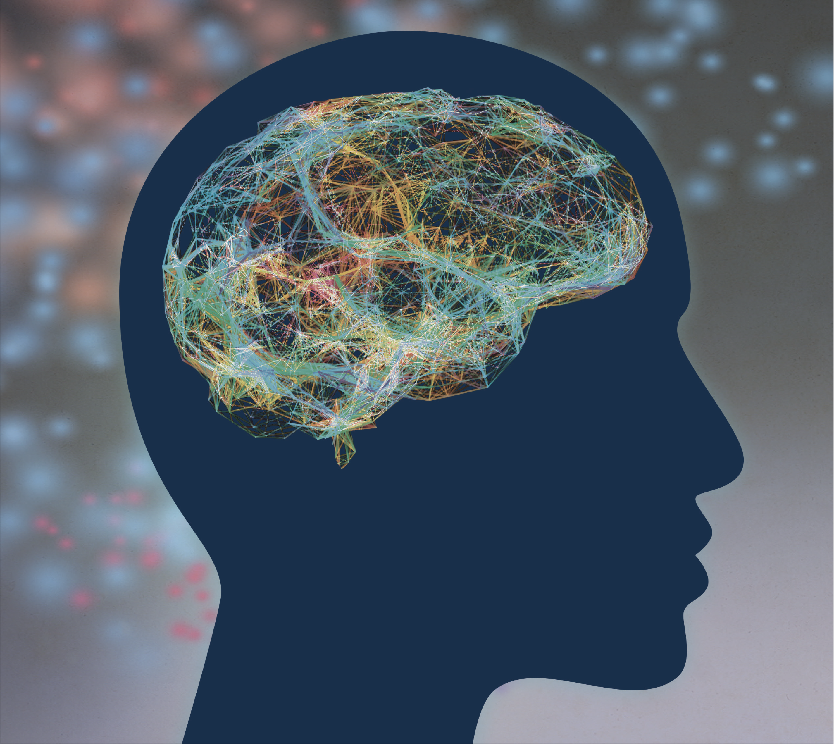 Brain Facts Cover