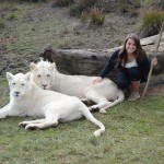 A girl with lions