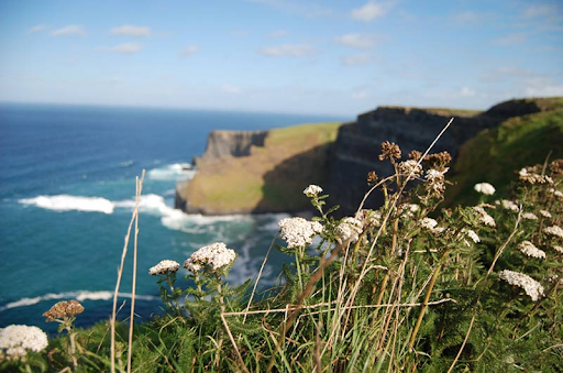 University College Dublin, Ireland - coastal cliffs and ocean