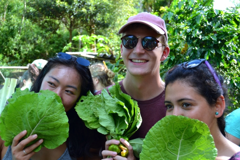 People in jungle tropical forest posing with leaves