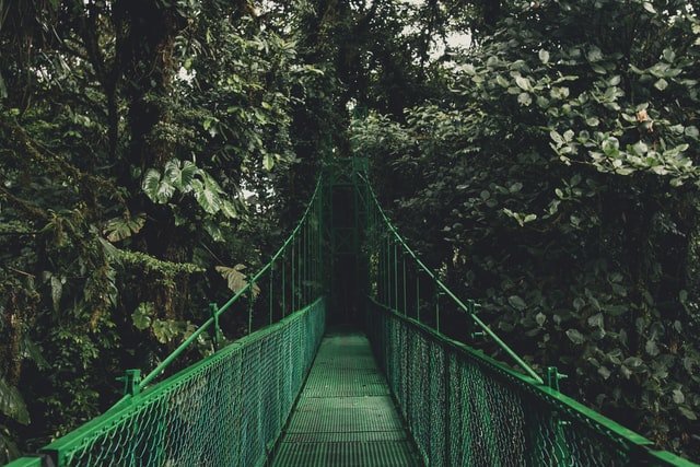 Photo by Isabella Jusková on Unsplash, suspension bridge in tropical forrest