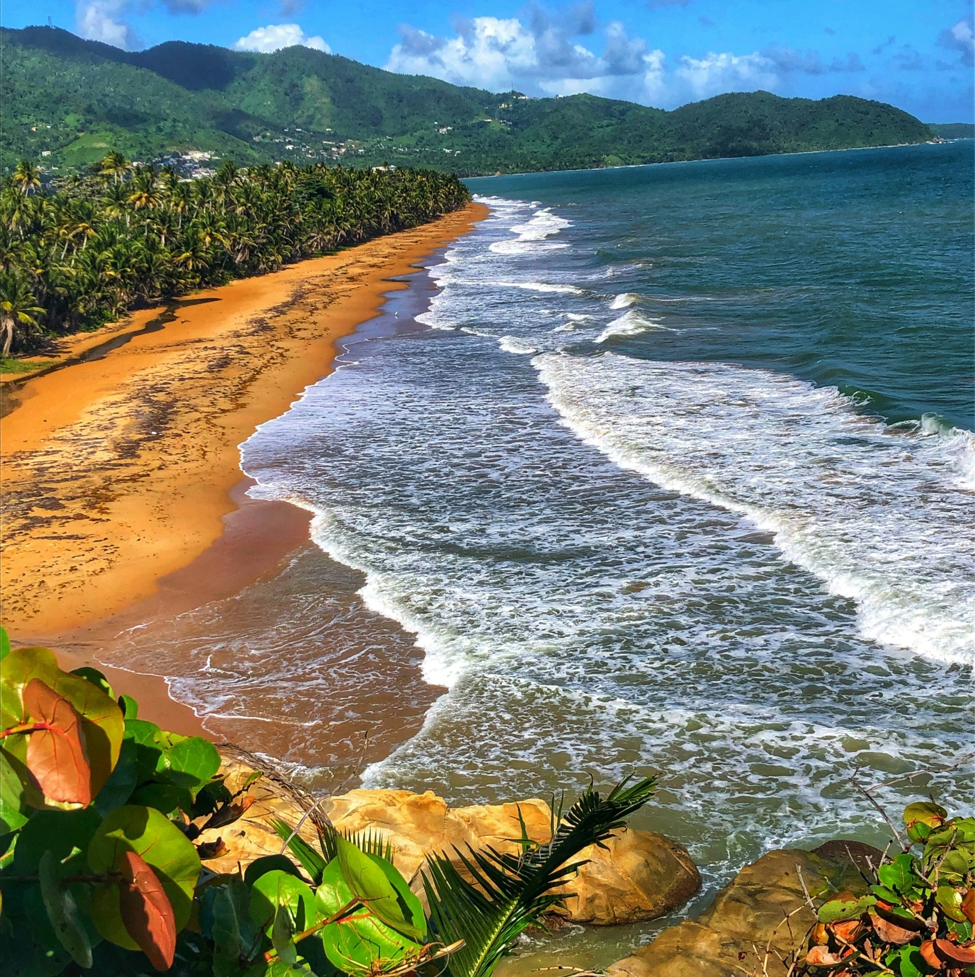 A tropical beach with orange sand, green palm trees, and ocean waves under a blue sky with scattered clouds; mountains are visible in the background.