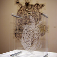 Turtle Artwork