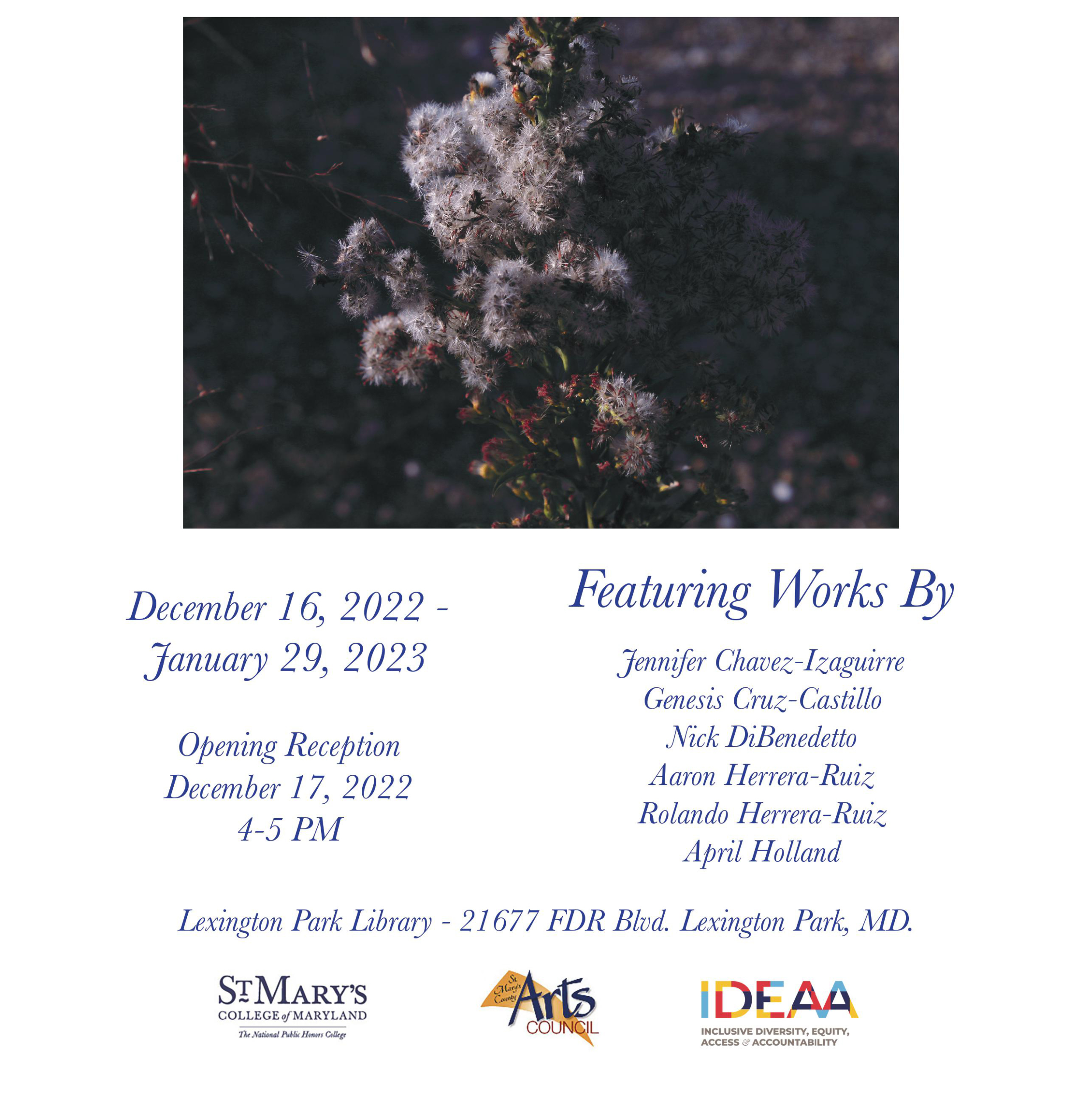 Ucla Alumni Scholarship Invitation 20231