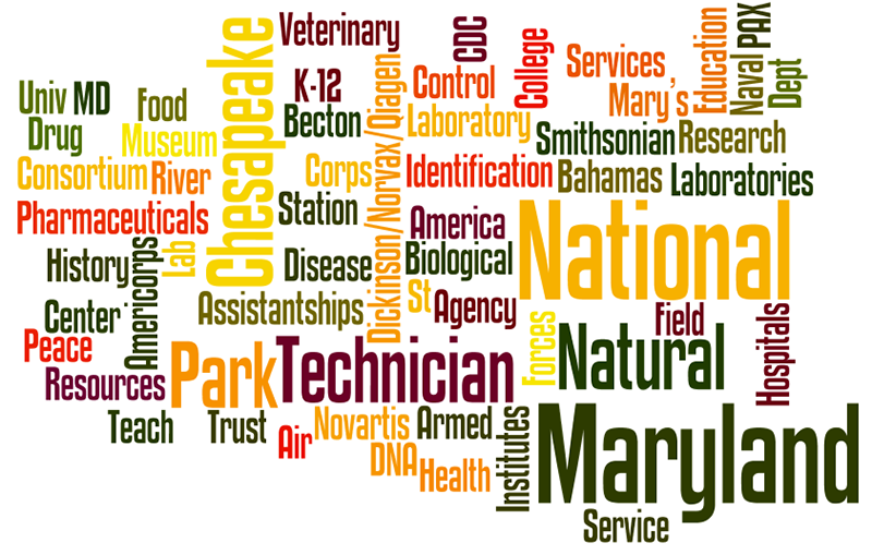 biology-wordcloud