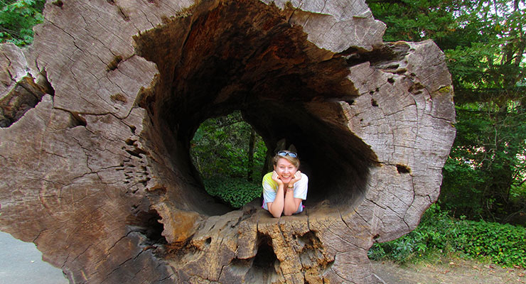 Student in a tree