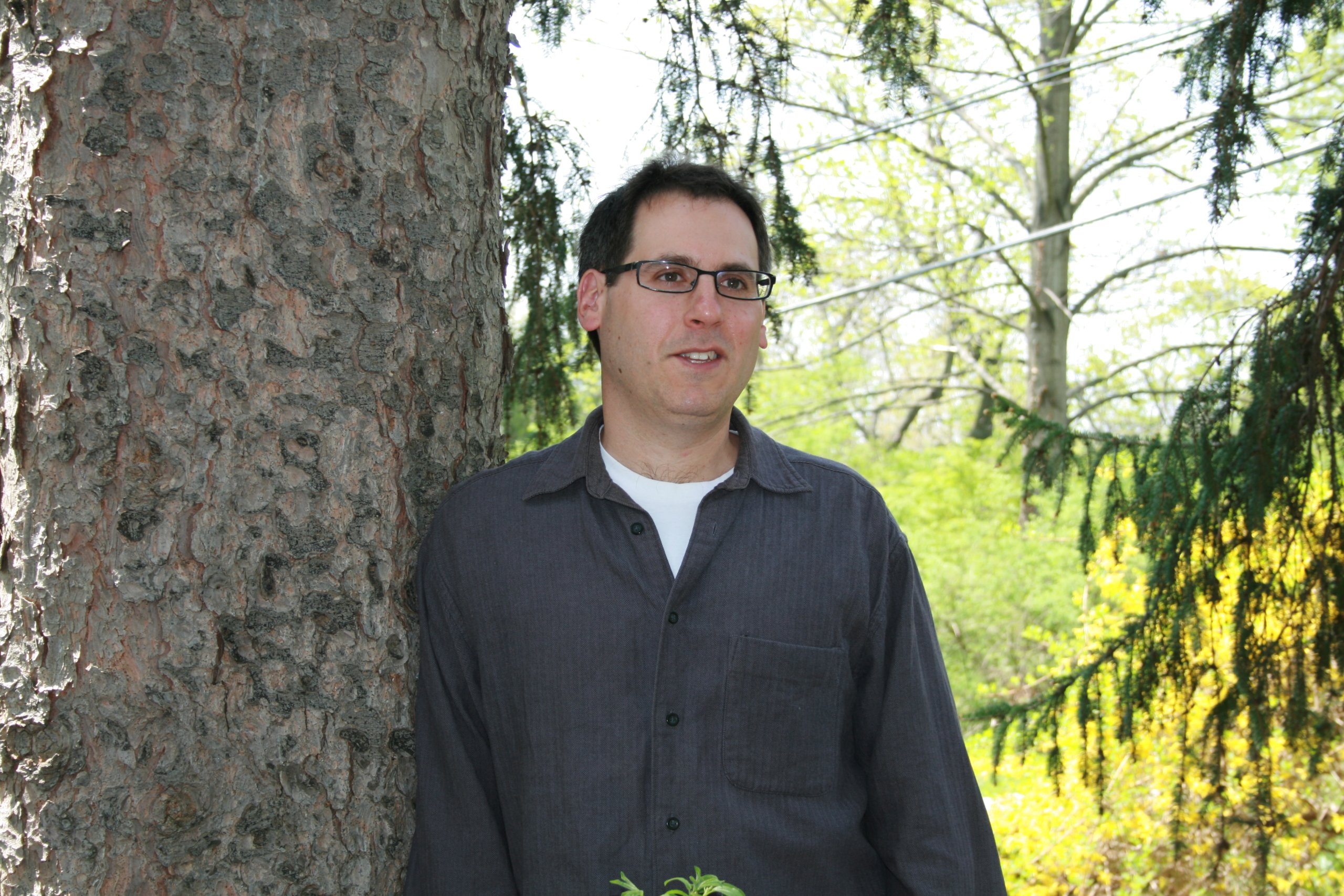 Stephen Schottenfeld