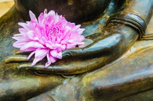 Photographic close-up of pink flower in palm of bronze buddha statue