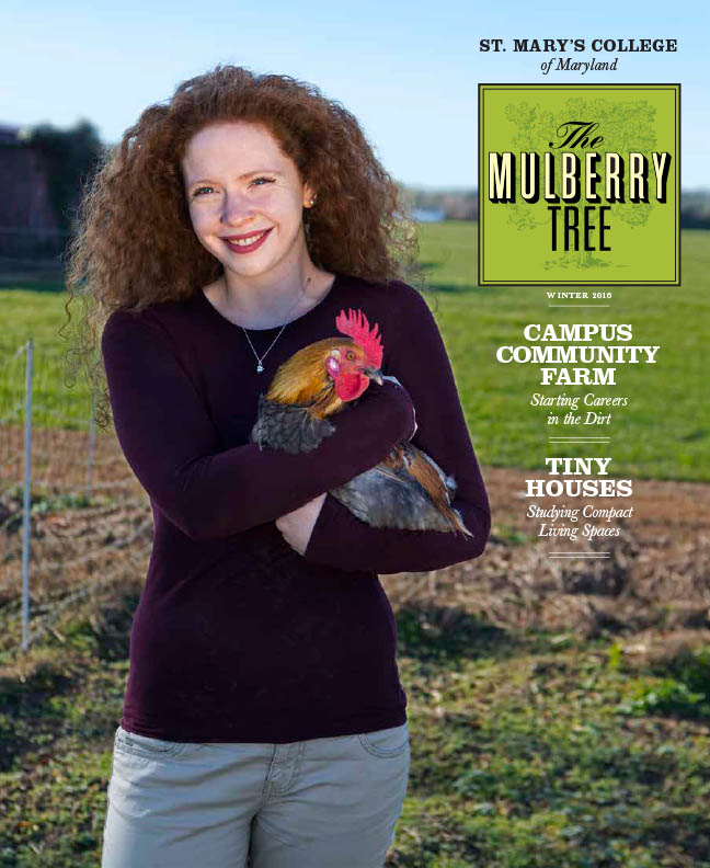 mulberry-tree-cover