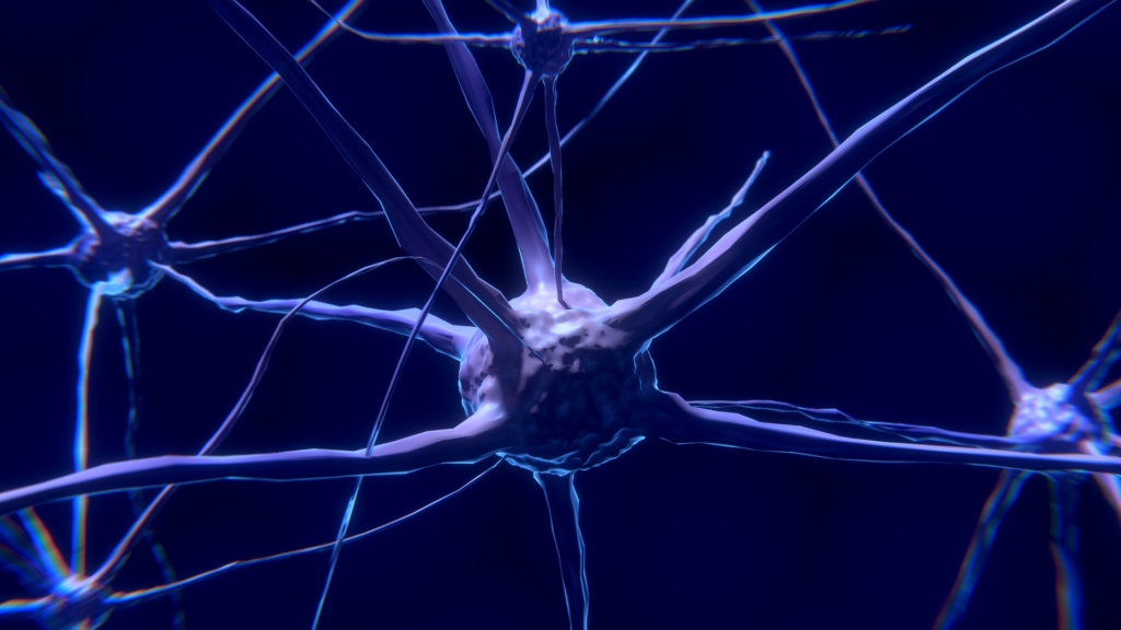 3D graphic visualization of a neuron
