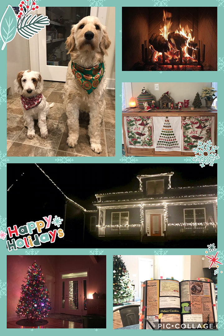 Kelly Muldoon - Photo collage of pets with holiday bandannas, fireplace, ornaments, colorful lights on house, tree, and recipe book