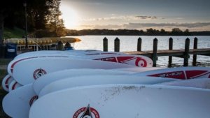 a row of stand up paddle boards by a dock on the river