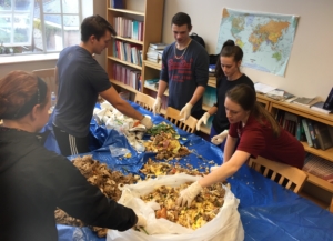 Students conducting a waste audit- food scraps spread on table
