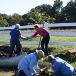 Greenwell Foundation