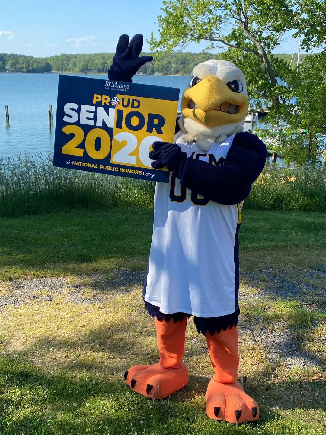 Solomon the Seahawk waving the Proud Senior 2020 sign for SMCM graduates by the St. Mary's River