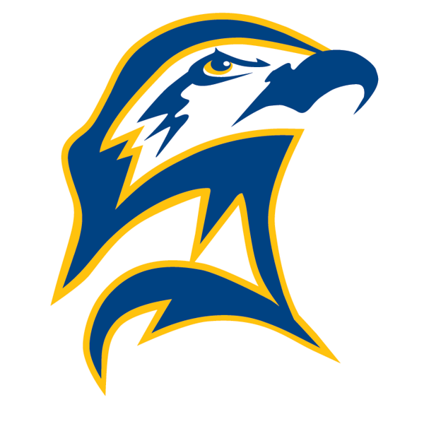 Seahawk logo